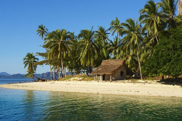 Ein Inselhaus unter Palmen am Meer