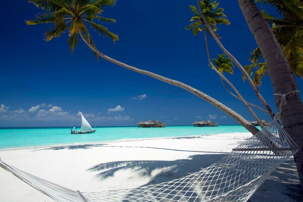 White sand beach on a sunny day and palm trees