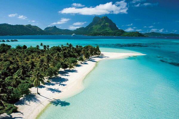 Paradiesischer exotischer Strand mit Palmen