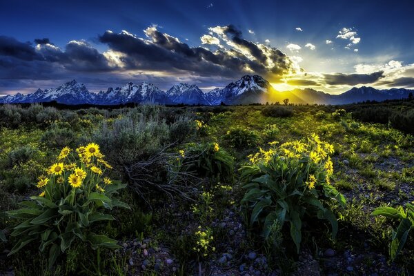 Parc National du grand Teton, Wyoming