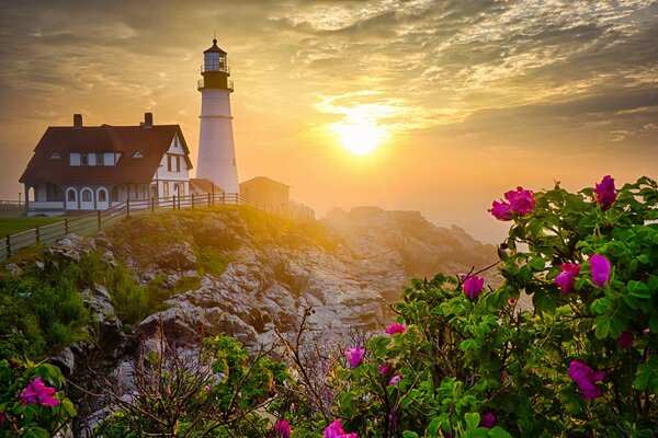 Mañana en el faro con rosas florecidas