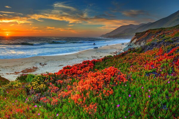 Sunset on the beach in a fabulous place