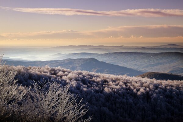 Collines boisées couvertes par le matin etla réflexion du paysage