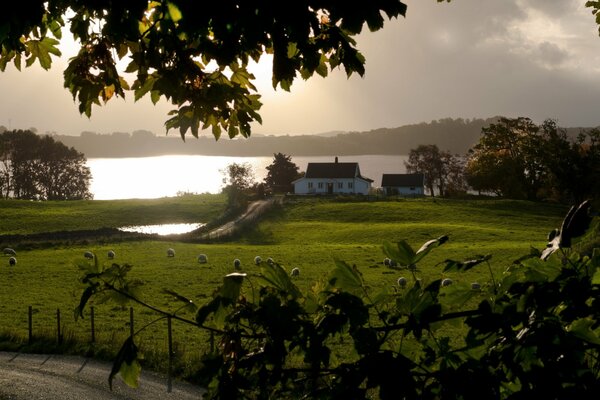 Sonnenaufgang. Ein Haus am Wasser, durch ein Prisma vor stehenden Bäumen