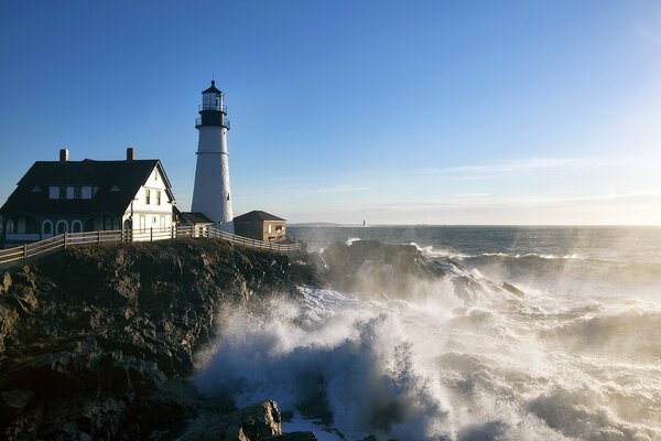 Stati Uniti - Cape Elizabeth, natura solitaria