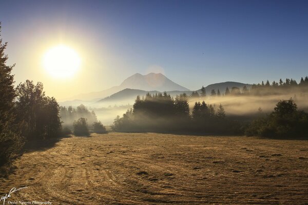 Reflet du paysage, brouillard matinal dans le champ