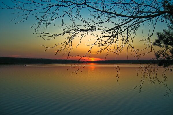 Orden de sol por la noche, ramas sobre el río, armonía, tranquilidad en la orilla