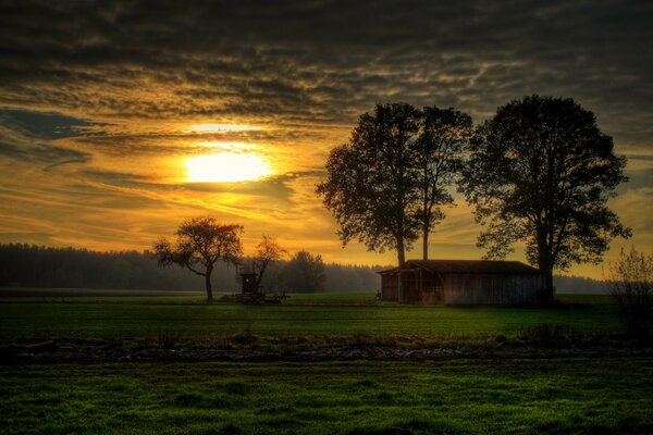 Hermosa puesta de sol sobre un campo verde