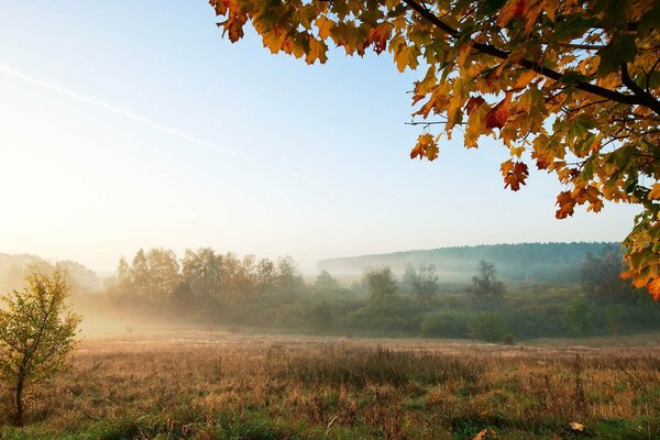 Morning fog on the autumn field