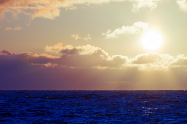 Himmel mit Wolken über dem Meer mit Wellen mit Sonne und Möwe