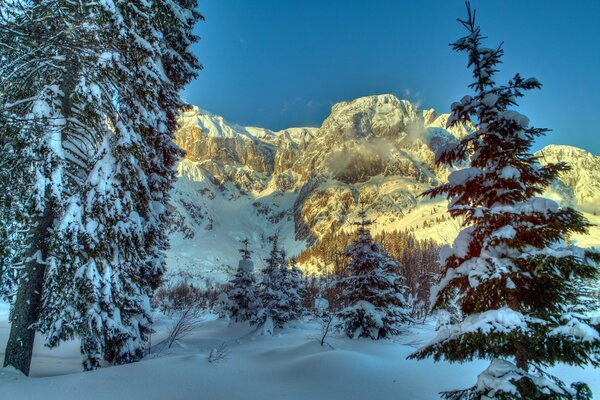 Maravillosa naturaleza invernal Alpina