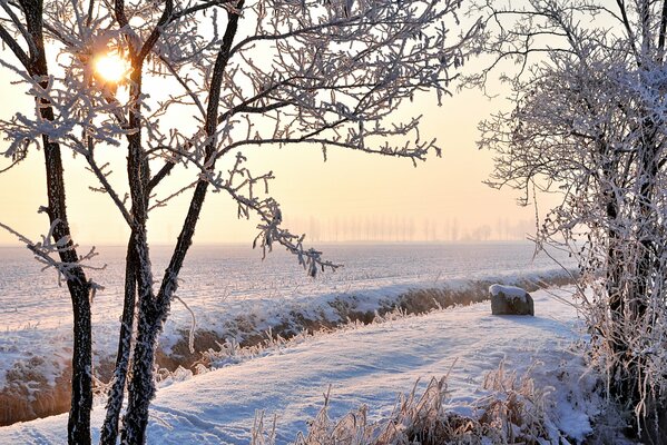 Schnee und Frost im Feld in der Sonne