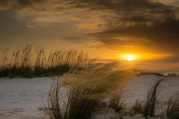 Florida- beach wind at sunset