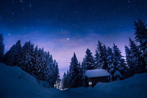 Winter landscape house in the forest in snowdrifts