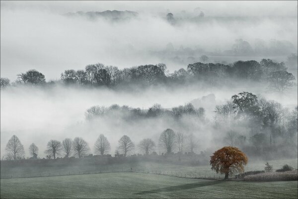 Peusi Valley in the fog