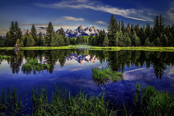 Montagnes et arbres qui se reflètent dans l eau