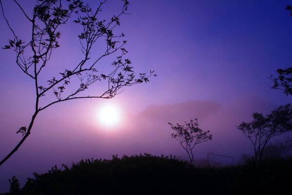 La luz crepuscular del sol