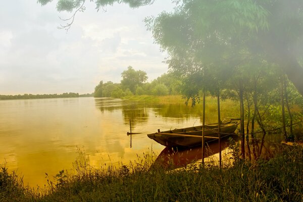 Nebliger Wald mit See und Boot