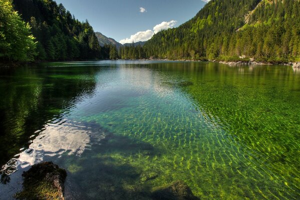 Lago transparente en medio de la Taiga