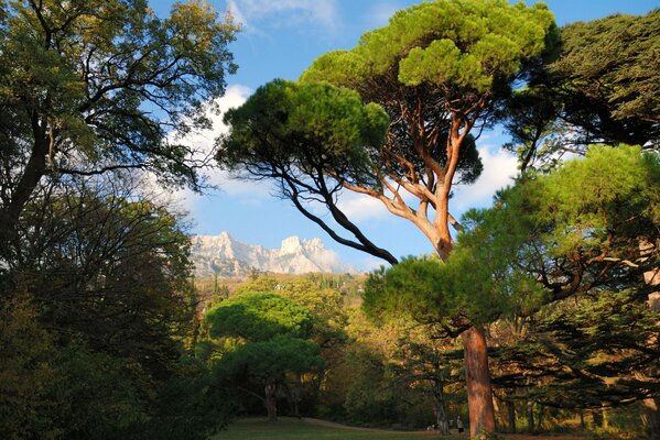 Schöne Natur in den Bergen auf der Krim