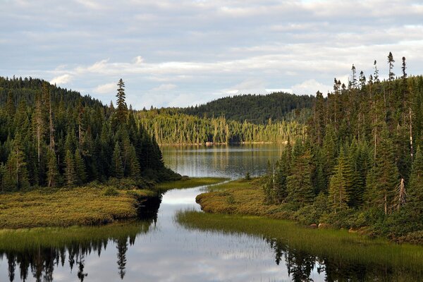 Beauté de la nature avec la baie