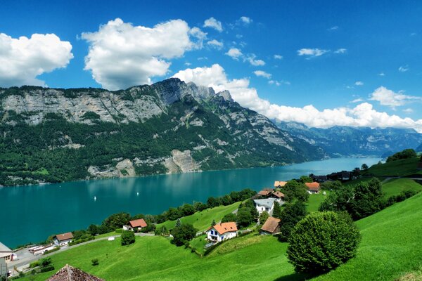 Beautiful view of the mountains and forests