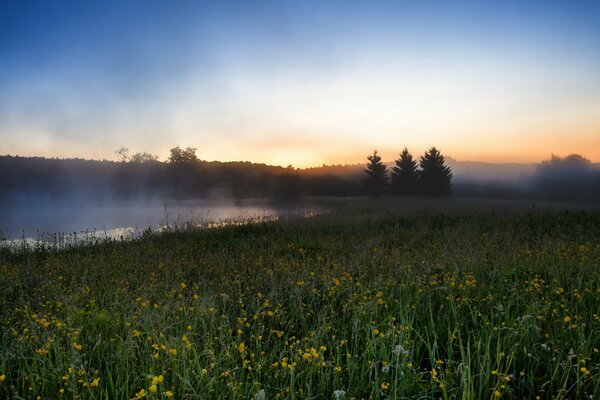 Fluss in einem Feld mit Morgennebel, die Landschaft zu züchten