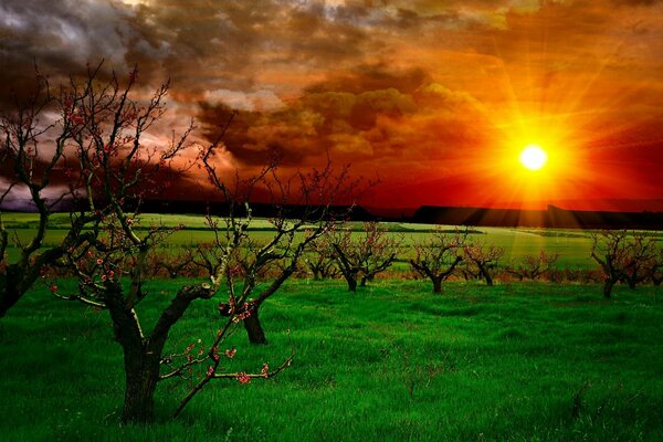 A sunset in the background with a stunning landscape