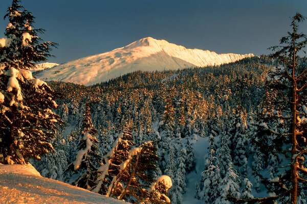 Paisaje de invierno con vistas al bosque y la montaña