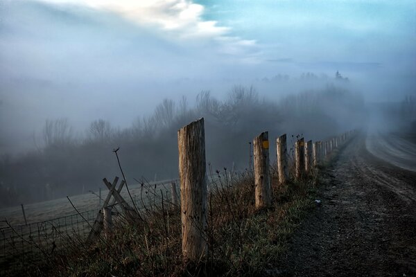 Route rurale dans le brouillard du matin