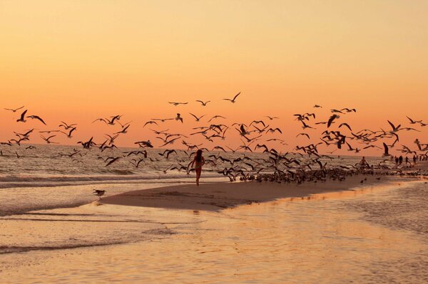 Fille de marche sur la plage du coucher du soleil avec des mouettes