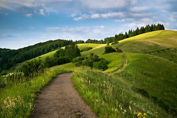 Feldweg in die Ferne gerückt