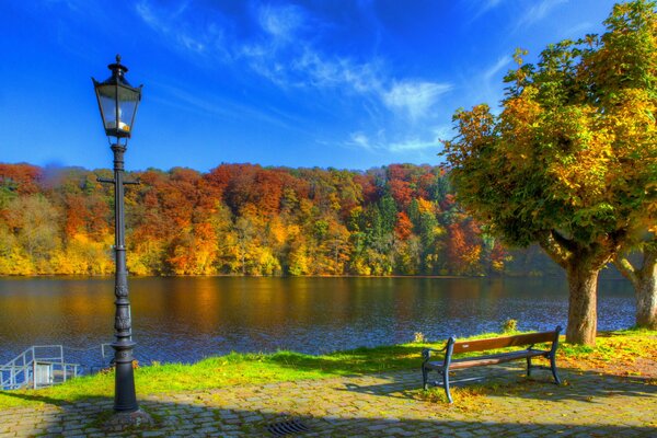 Foto der herbstlichen Natur des Parks in Deutschland mit Laternen, Bäumen, einer Bank