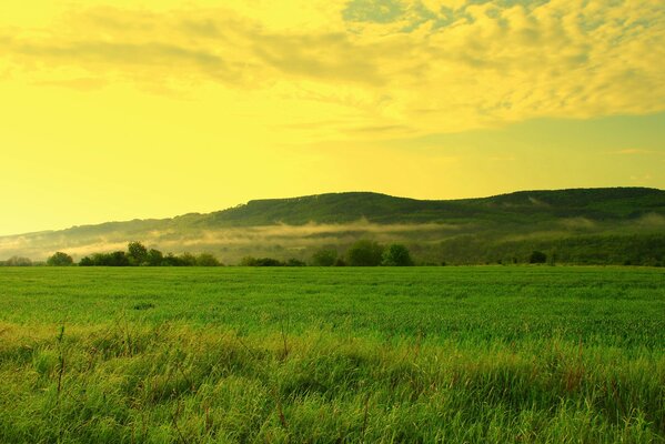 Die schönste Landschaft von Feldern und Hügeln