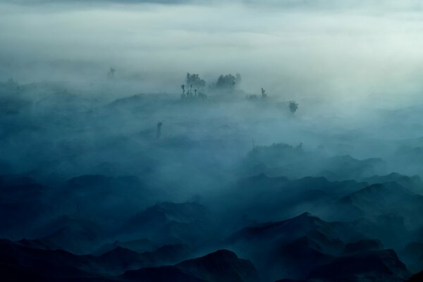 Bäume in den Bergen umhüllten den Nebel