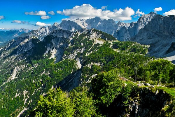 Rocky Mountains mit Bäumen auf einem blauen Himmelshintergrund