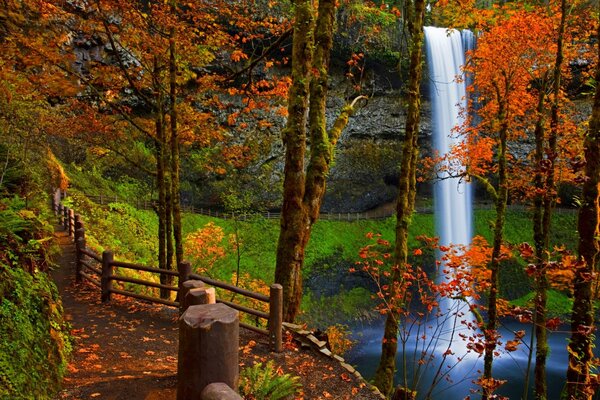 Wasserfall im roten Herbstwald