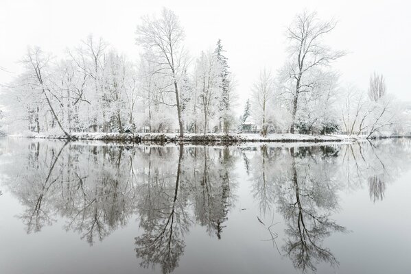 Bäume, die mit Frost bedeckt sind, spiegeln sich im Wasser wider
