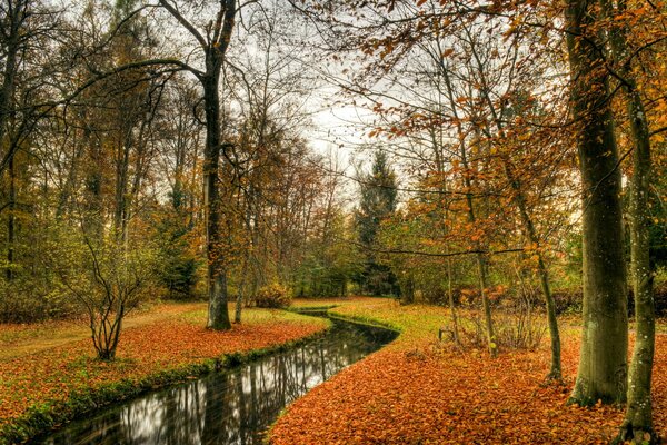 Herbstpark mit einem Teich in der Mitte