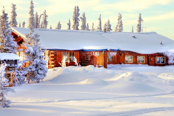 Winter morning in a Russian village