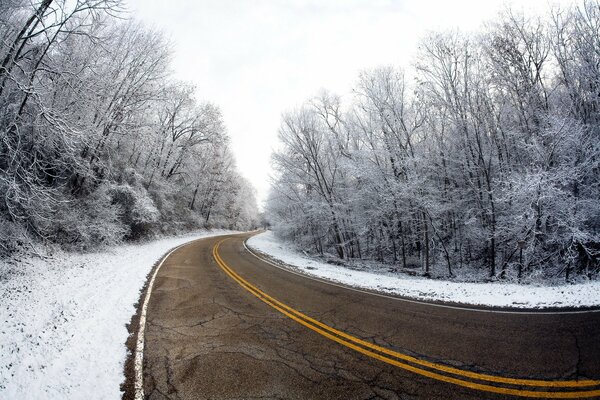 The road leading into winter