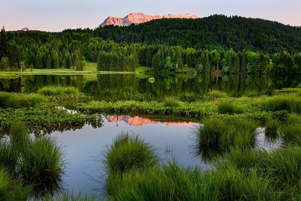 Lac de montagne en été par temps chaud et calme