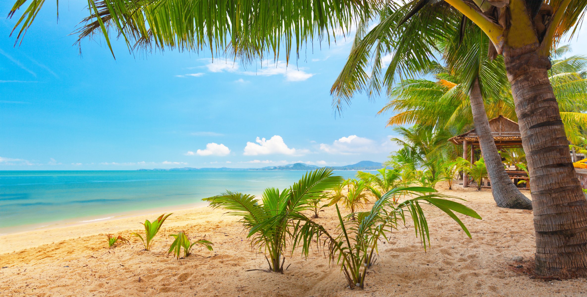 palmy natura krajobraz morze tropikalny piasek niebo chmury tropical beach koh samui tajlandia wybrzeże maenam piękne tropikalna plaża maenam