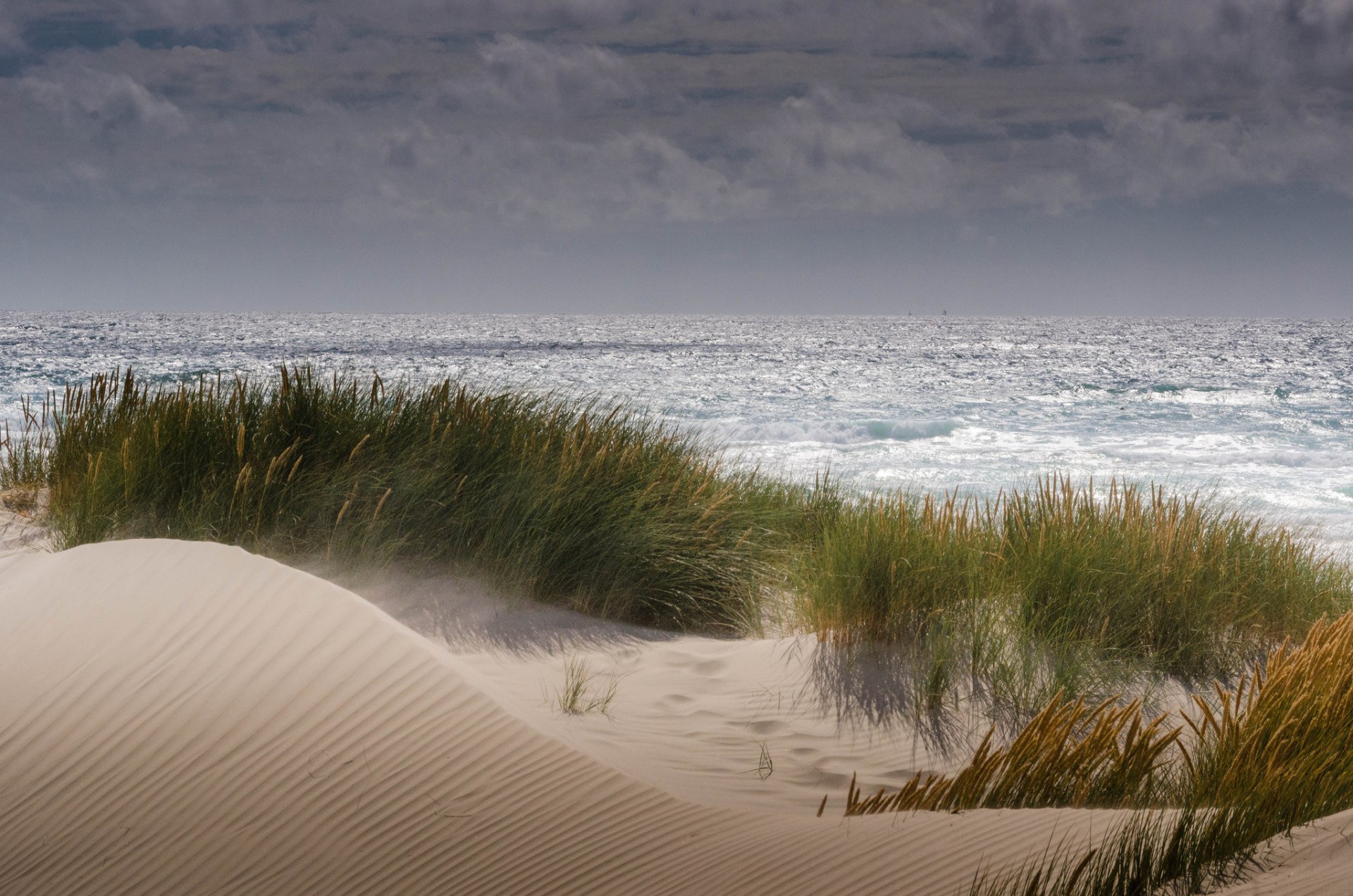 ea beach sand dune vegetation wind