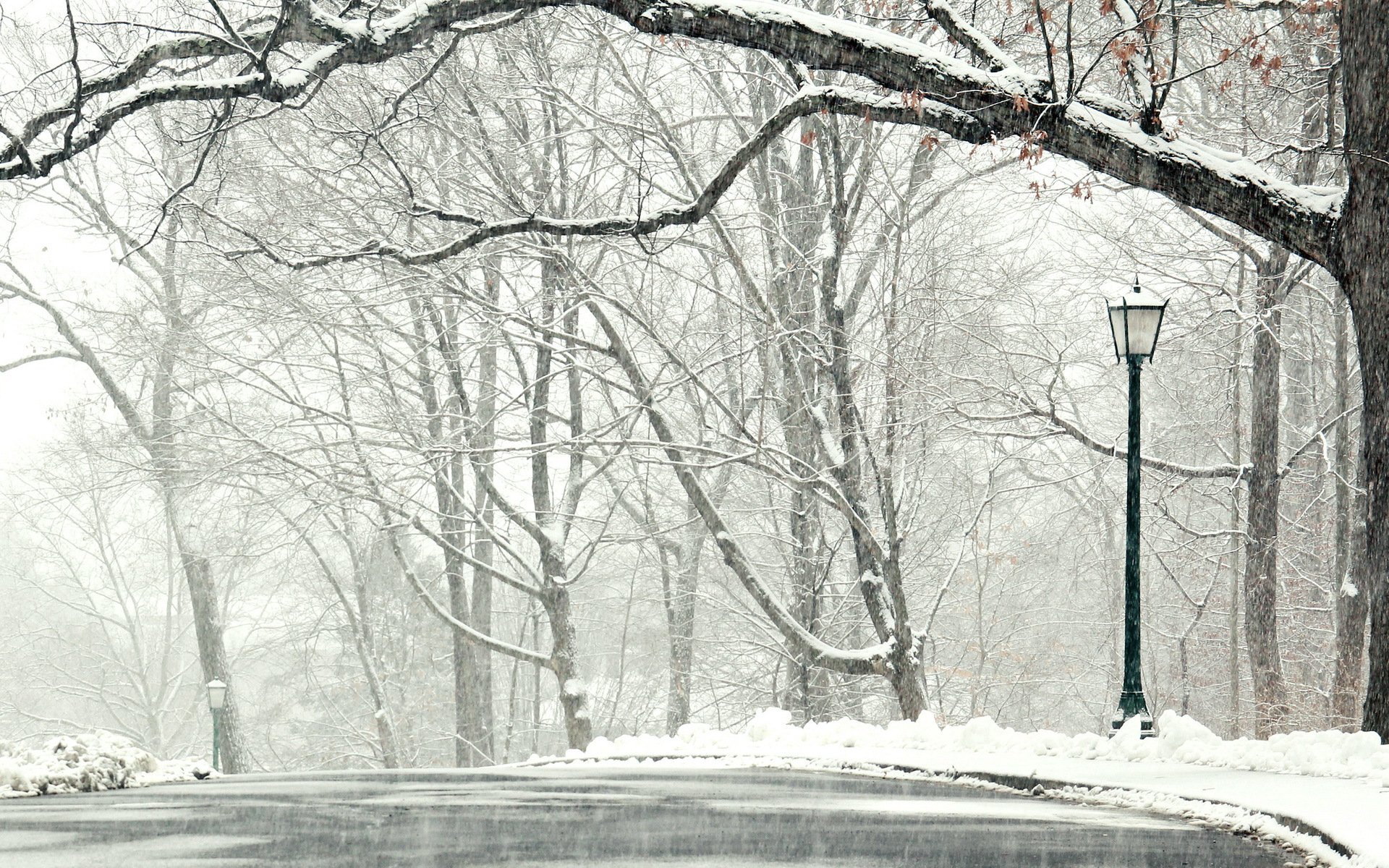 hiver neige route arbres paysage