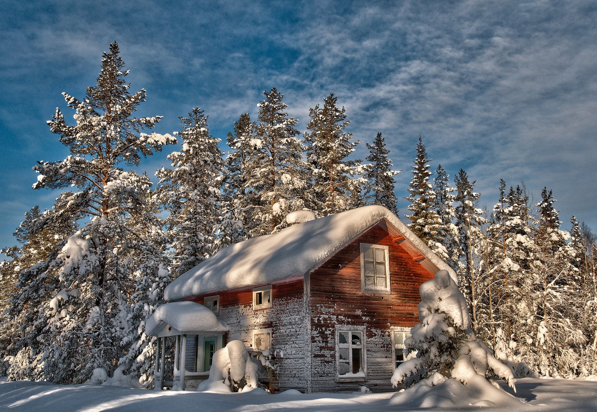 invierno nieve árboles de navidad árboles casa viejo abandonado