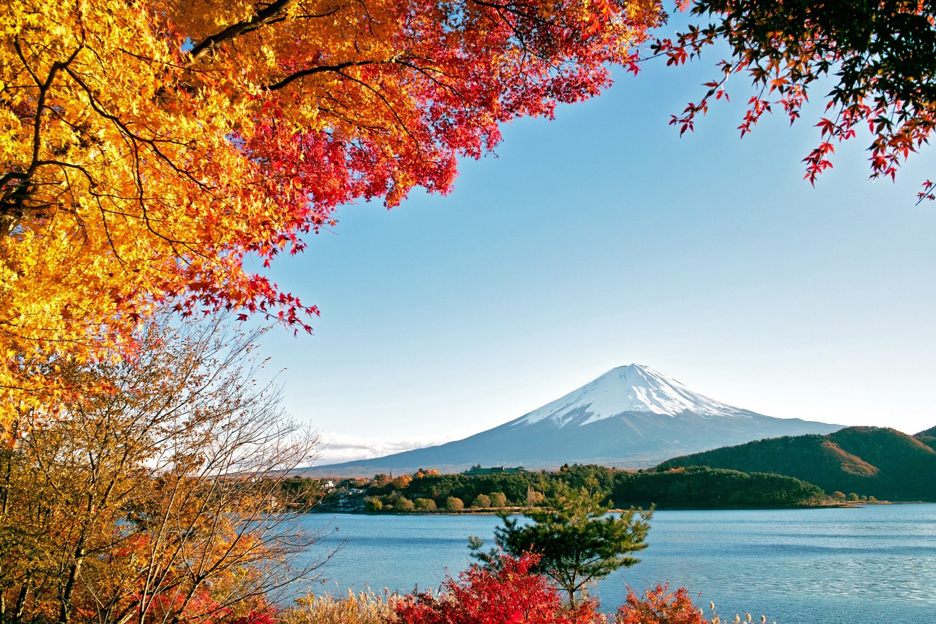 fujiyama automne arbres montagnes nature eau lac mer