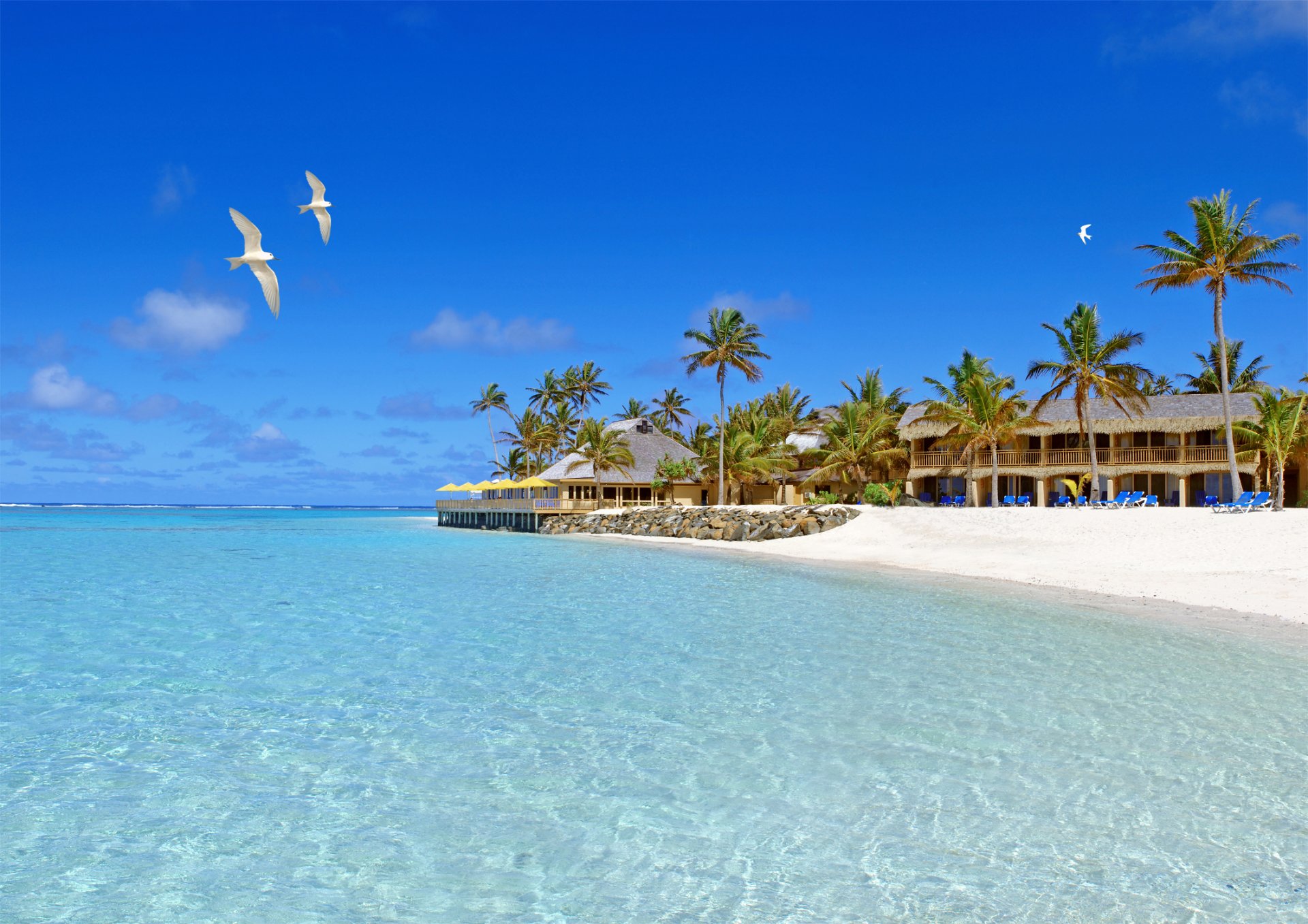 mer plage oiseaux bungalow ciel sable mouettes palmiers