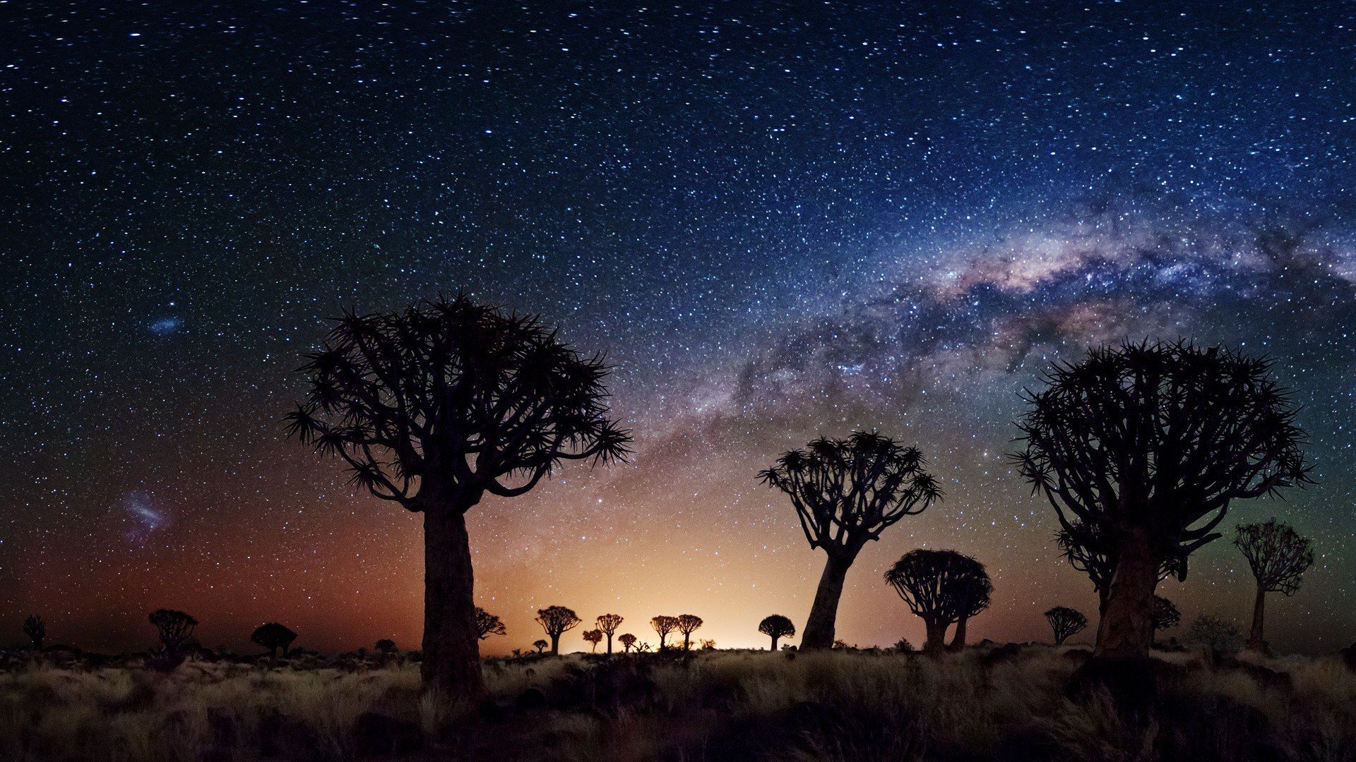 nuit étoiles joshua tree