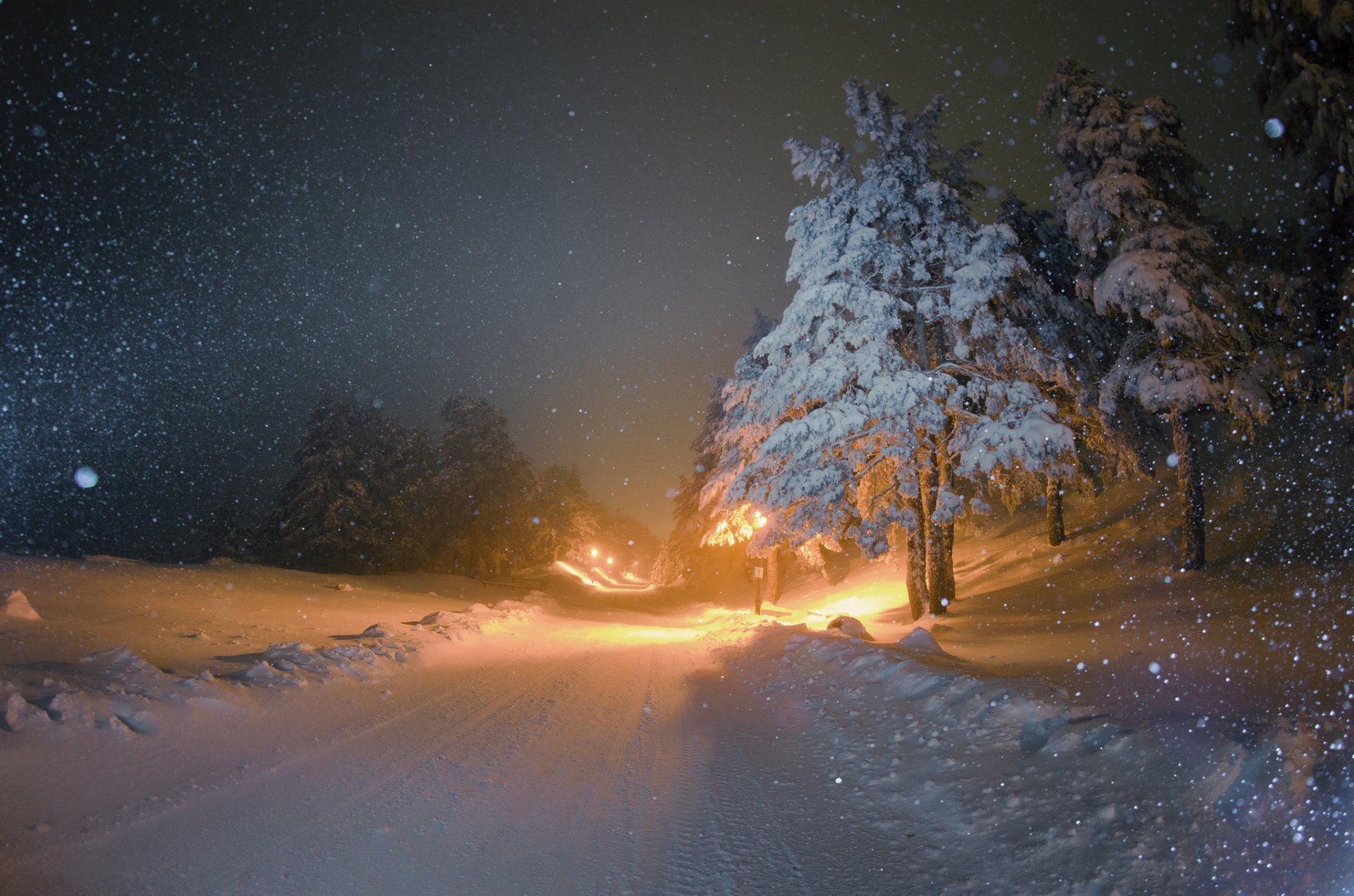 hiver neige arbres de noël route nuit lanternes éclairage chute de neige